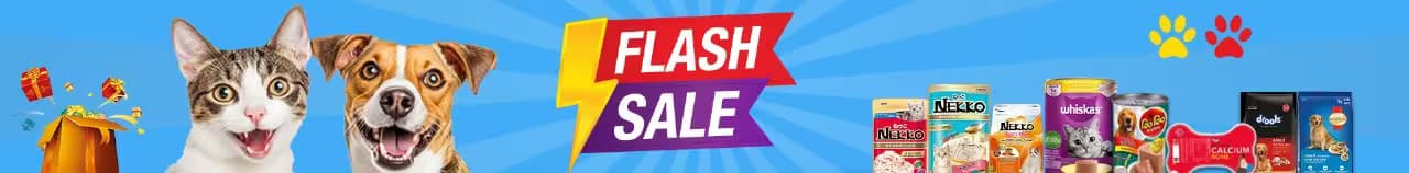 Flash Sale Banner